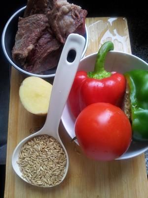 狗狗鲜食——番茄炖牛肉的做法 步骤1