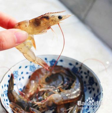 最易引起身体过敏10种食物大集合