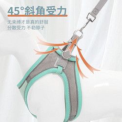 狗狗牵引绳遛狗绳背心式外出猫咪牵引绳防挣脱泰迪宠物中小型犬专