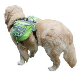 贝尼宠 狗狗旅行便携外出自背包透气网布 训犬用品狗自背包 绿色 S