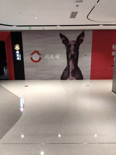 开门见笑 接待新朋友
