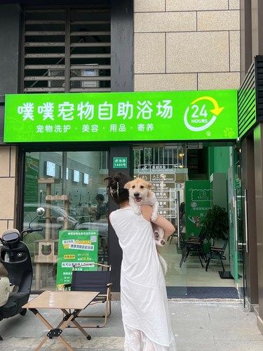 苏州首家自助洗宠一杯奶茶都用不了