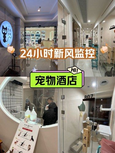 宠物酒店，还有24小时新风监控？？