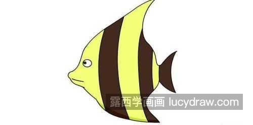 彩色版热带鱼简笔画图片大全 彩色可爱热带鱼简笔画怎么画