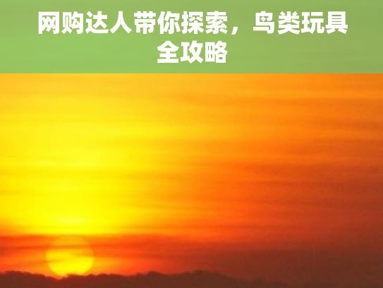 网购达人带你探索，鸟类玩具全攻略