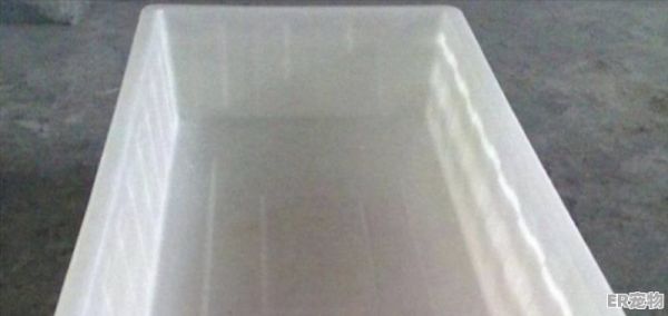龟蛋孵化正确步骤_乌龟蛋孵化时怎么喷水