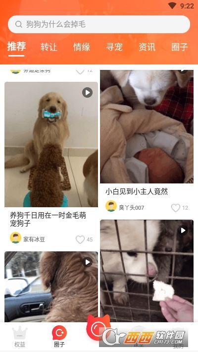 有点萌(宠物社区)