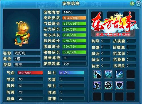 燃灯龟