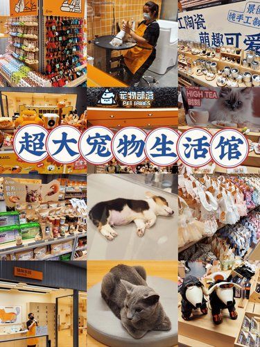 龙湖天街新店打卡～1000平超大宠物生活馆❗