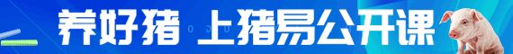 猪易公开课
