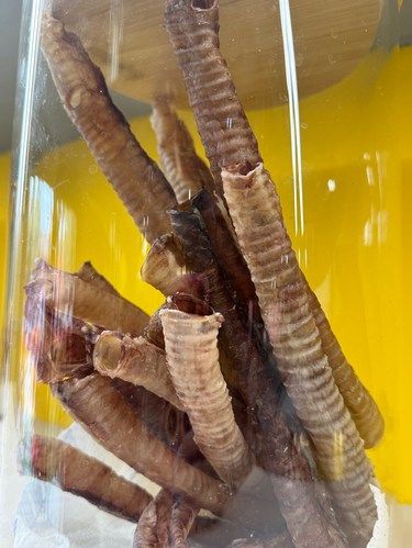 以为是博物馆！结果……