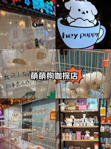 在辰熙天街的狗咖！
