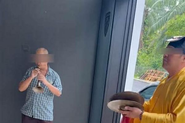 属猪的适合养什么小动物