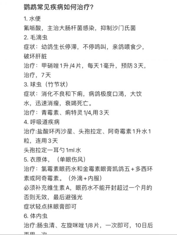 鹦鹉最常见的疾病。总结一下鹦鹉比较常见的疾病，对症下药，希望能帮助到大家！#鹦鹉 #萌宠 #鹦鹉鹦鹉萌萌哒逗鹦鹉 #经验分享