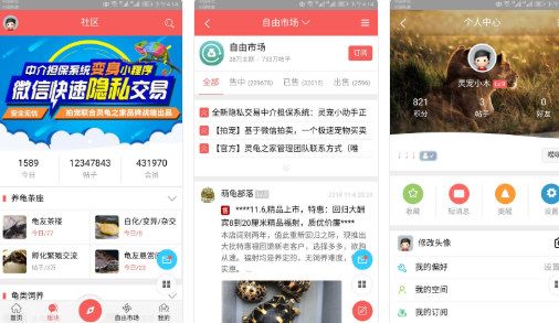 灵龟之家1