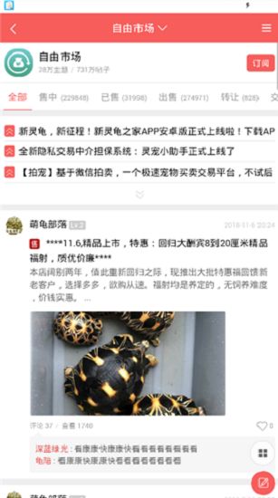 灵龟之家4