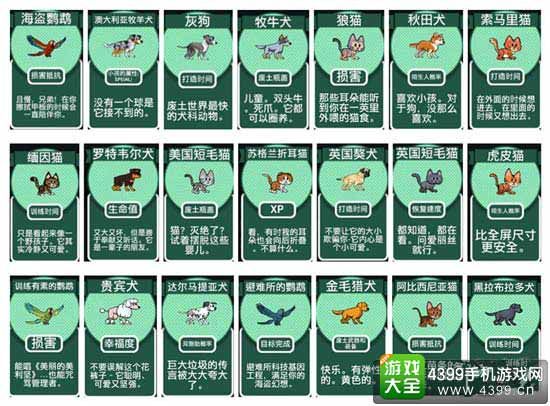 宠物属性