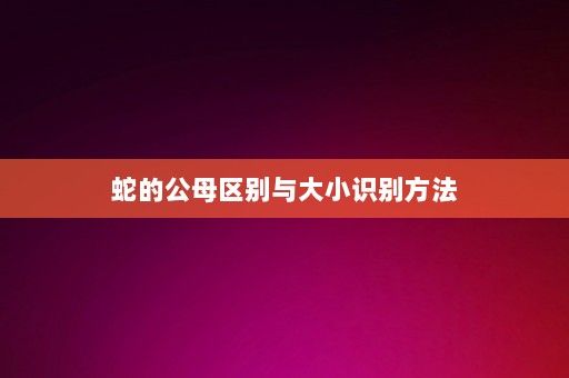 蛇的公母区别与大小识别方法-第1张图片-一起学知识网