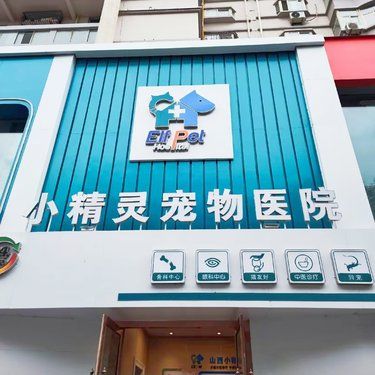 这家宠物医院救大命了，推给有需要的UU们