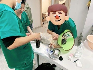 【毛孩健康守护】揭秘宠物医院里的爱心瞬间！