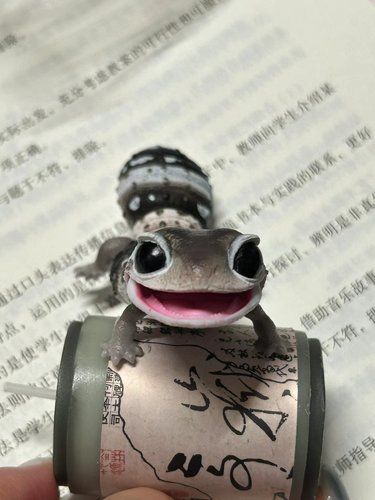 [流泪][流泪][流泪]你不要乱吃东西啊！！！！