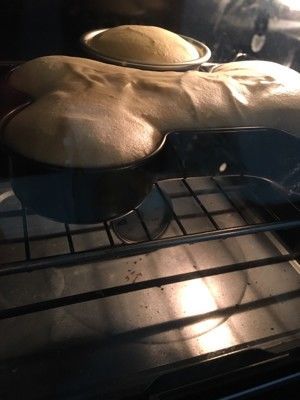 宠物狗狗蛋糕的做法步骤 第1步