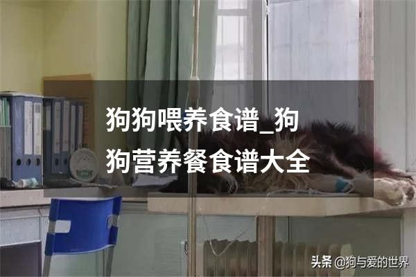 狗狗喂养食谱_狗狗营养餐食谱大全