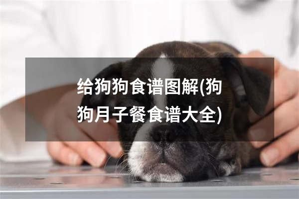 给狗狗食谱图解(狗狗月子餐食谱大全)
