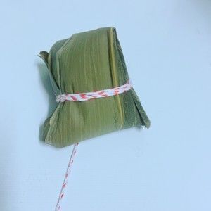 狗狗粽子,宠物粽子,狗狗肉粽(超简单)的做法步骤 第5步