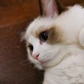 https://p1.meituan.net/userheadpicbackend/69d0051f060e20ee46de6540c245bc08467475.jpg%40120w_120h_1e_1c_1l%7Cwatermark%3D0