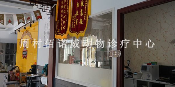 邹平阳光花园附近的宠物猫治猫瘟,宠物医院