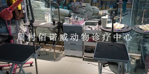 邹平交通大厦附近的宠物猫治猫瘟,宠物医院