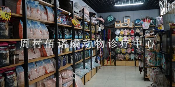 邹平交通大厦附近的宠物猫治猫瘟,宠物医院