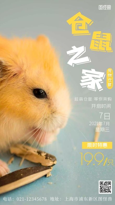 仓鼠摄影图海报
