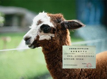 协助办证