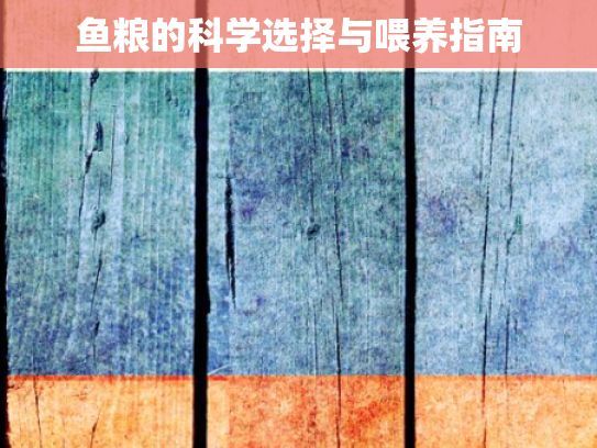 鱼粮的科学选择与喂养指南