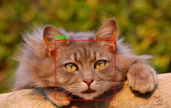 猫脸关键点检测大赛：三种方法，轻松实现猫脸识别！