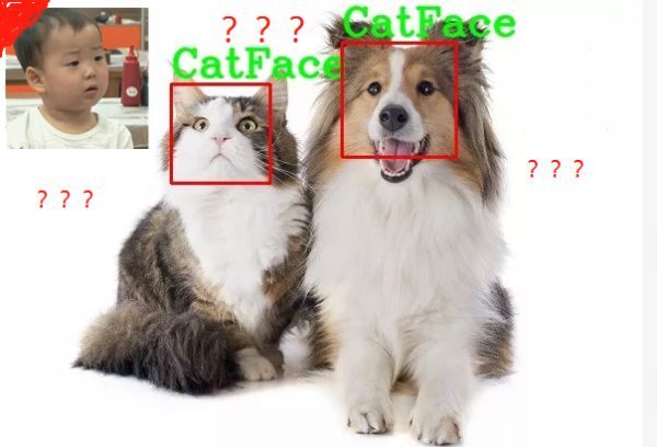 猫脸关键点检测大赛：三种方法，轻松实现猫脸识别！