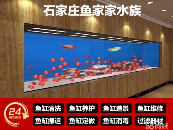鱼家家水族·全石家庄上门清洗鱼缸清洗 鱼缸定做 鱼缸造景 鱼缸养护换水维修搬运