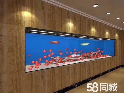 店主头像