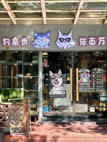 带我家狗狗洗了一次很满意的澡澡