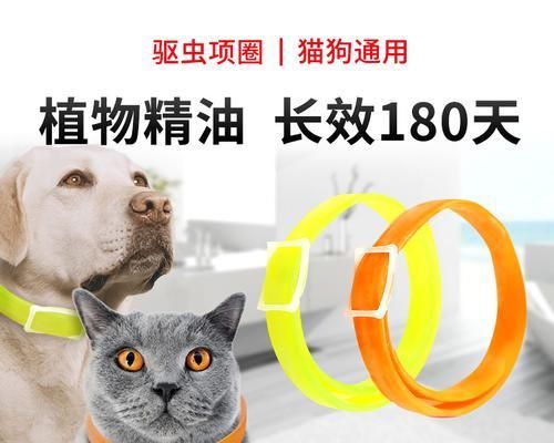 夏天防蚊指南（宠物主人必读！狗狗怎么驱蚊子）