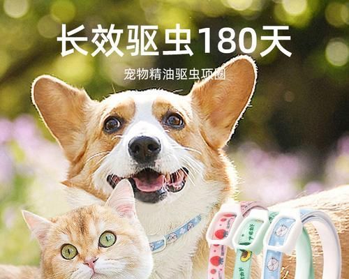 夏天防蚊指南（宠物主人必读！狗狗怎么驱蚊子）