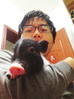 小伙与两头宠物猪“同居”一年多　想为猪觅新主