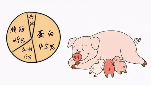 动物故事：猪故事四则