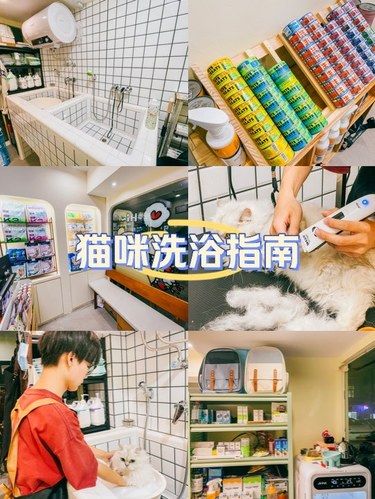喵星人的美容院日常