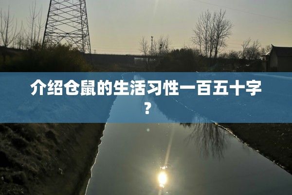 介绍仓鼠的生活习性一百五十字？