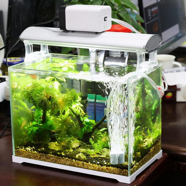 我们养观赏鱼,增氧泵到底该不该用?什么时候用?怎么用?