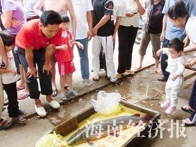 　“怪鱼”引来众多市民围观