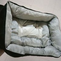 狗窝：宠物的温馨栖息之所